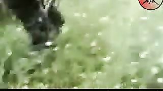 Russia | Chechens Ambush Russian GRU Spetsnaz Column | Avtury, July 4, 2006 | RCF