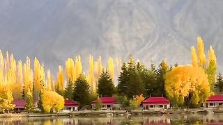 Autumn 4