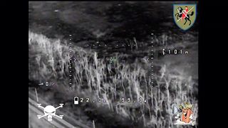 Ukraine Russia War | Ukrainian "Baba Yaga" Drone Strikes Multiple Russian Personnel at Nig | RCF
