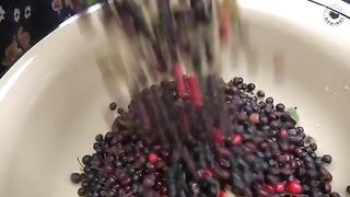 Wild Hawthorn Berries Harvesting from Forest | Making Quince Dessert with Walnut