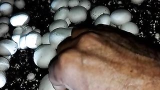 Mashroom