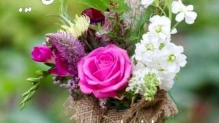پیری وسرگرمی