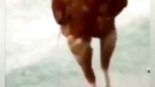 Ayam tangguh, senggol donkz