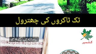 Tiktok Funny #tiktok #tiktokfunny #funny #viral #shorts #youtubeshorts #pilwaaltv