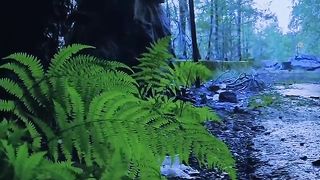 Amazing video 124