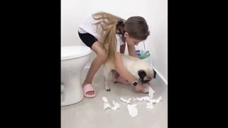 Funniest Cats and Dogs Videos 6