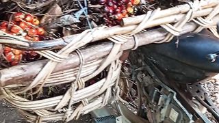 Motor Andalan Siap Tempur Di Medan Kerja