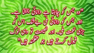 Quran Translation In Urdu |Quran Quotes