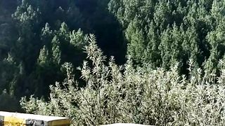 Nathiagali view
