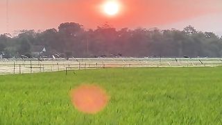 Beautiful sunset 6