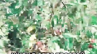 Работая много а зарабатываю мало