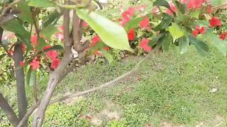 chup gay sare nazare oy/Argentaina park Islamabad/Beauty of pakistan