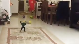 Little footballer challenges with Hulk doll