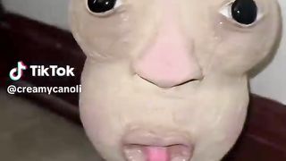 Funny TikToks you should watch while eating