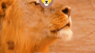 Proving himself to be the king