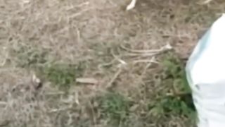 The end ????????????#funny#shorts#viral