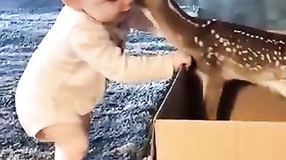 Cute boy with cute deer||best funny video