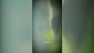 BEST MEMES EDITS TIKTOK ???? MEMES FUNNY MOMENTS ???? TIKTOK COMPILATION