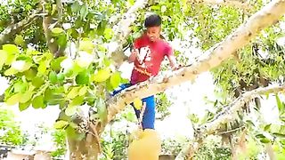 ????Most-Viral-New-funny-Video- 2022-New-Comedy-Video-Amazing-Funny-Video-2022????