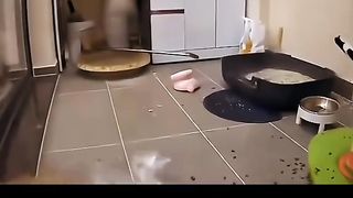when the cat is startled
