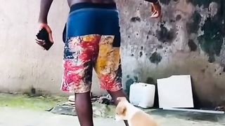 Funny dog???? 4