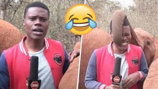 Try Not To Laugh - Best Funny Videos - by FunnyTime99 #6