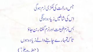 اسلامی معلومات 608