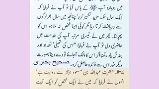 اسلامی معلومات 613