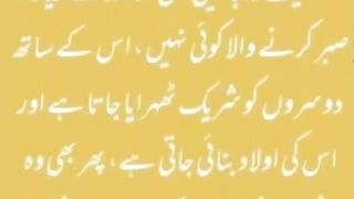 اسلامی معلومات 616