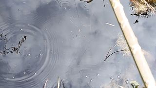 primitif fishing got  field eel