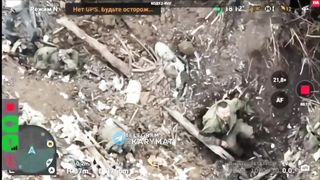 Ukraine Russia War | Drone Drops Grenade on Russian Occupier | RCF
