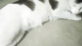 My cute mia