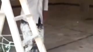 استاد کار خوش صدا