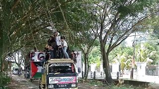 Seve palestine
