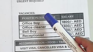 Job Vacancy Hiring