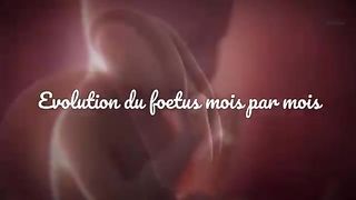 Évolution et différentes étapes