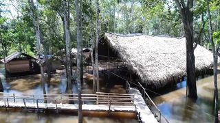 Tribus indigenas del amzona