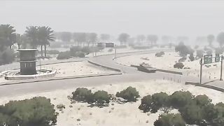 Un bon video a suivre du gaza 02
