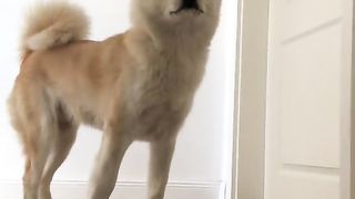 Look at this 3