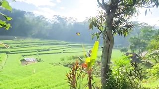 Nuansa Alam Desaku  |  The Natural Feel of My Village