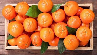 Jeruk Mandarin