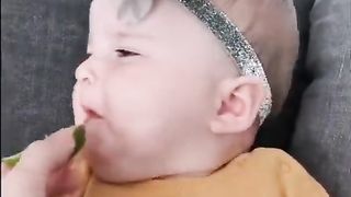 Смешные видео ролики