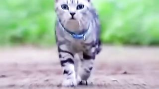 Si cantik kembar mata????????