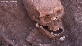 Lo que los cientificos encotraron debajo la tierra