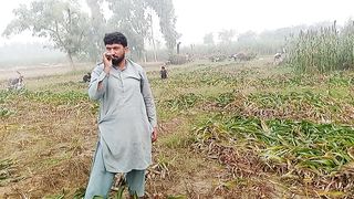 Fields 5