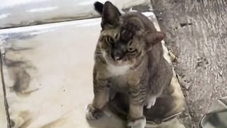 Funny video part 2 3