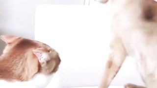 Funny video part 5 3