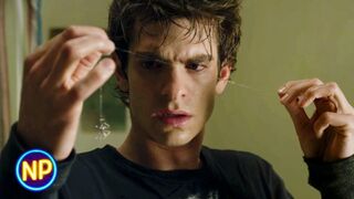 The amazing Spiderman