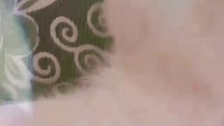 Cute cat