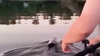 Animals that asked people to help them